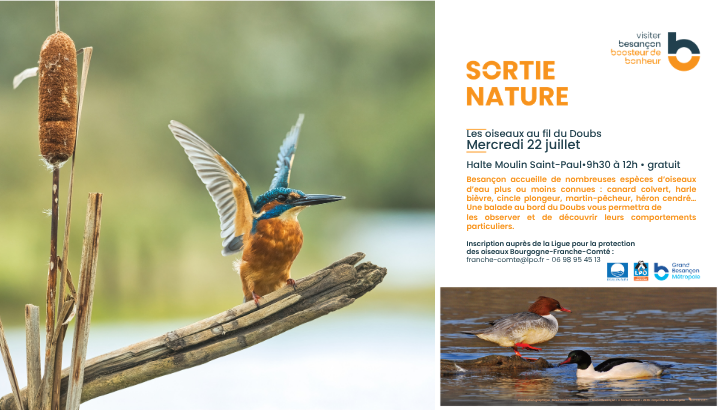 Les oiseaux au fil du Doubs